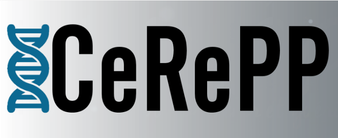 CeRePP soutient ANAMACaP