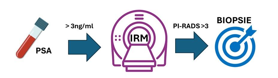 Comment se deroule le depistage du cancer de la prostate - ANAMACaP